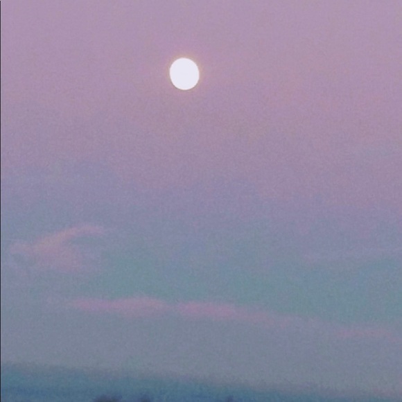 Meet your Posher, Estella - Picture 11 of 15